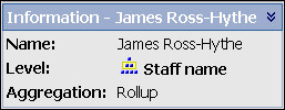 A screenshot showing the Analysis Studio Information Pane.