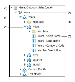 the data tree, showing 1. a package, 2. a dimension, 3. a level hierarchy, 4. a members folder, and 5. a level