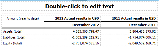 A screen capture of the report so far showing for 2006 and 2005, the amount (year to date) for assets, liabilities, and equity.